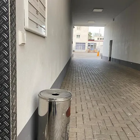 Fruehlings Gl21 Bergisch Gladbach